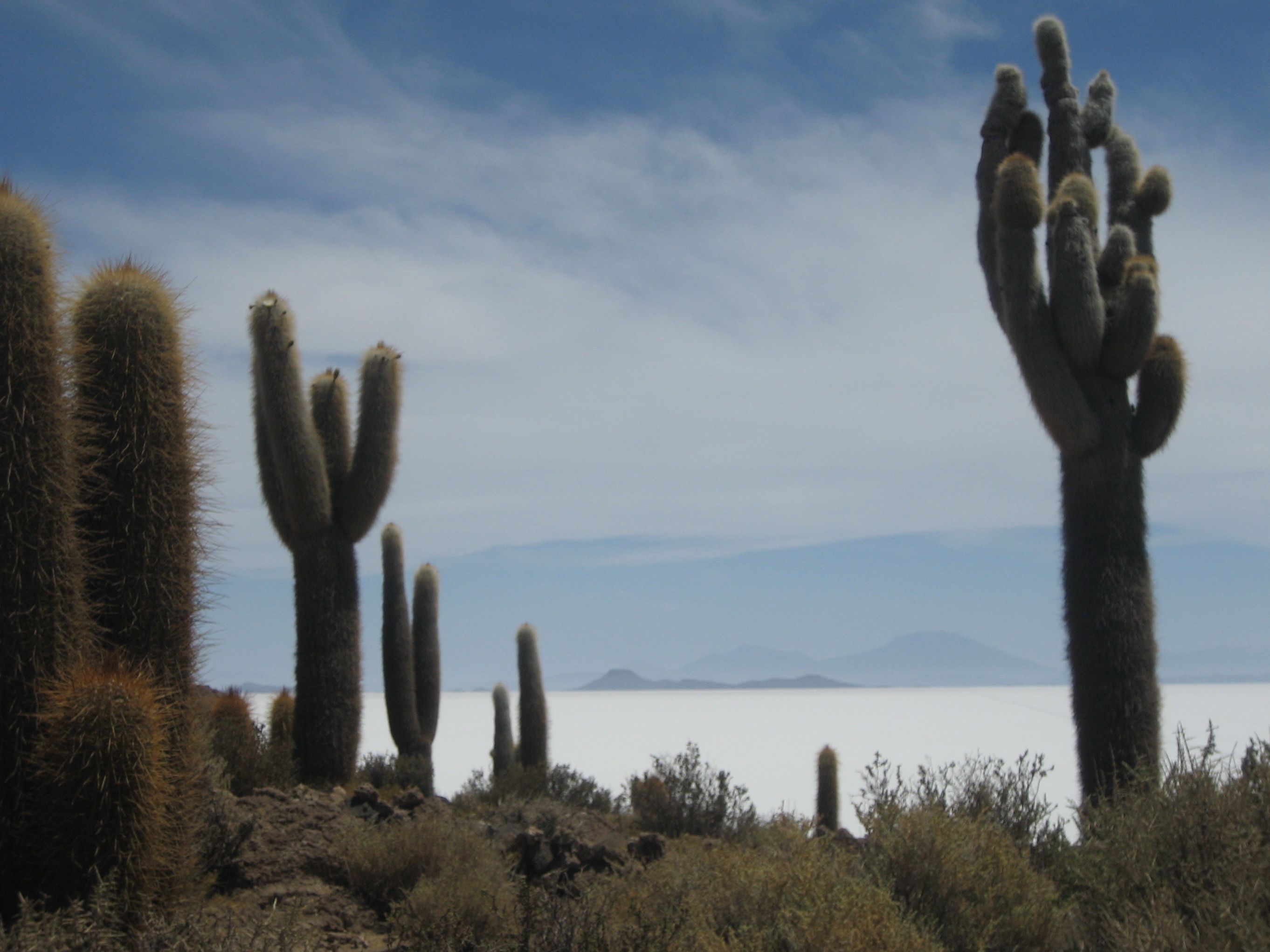 Salar de Uyuni