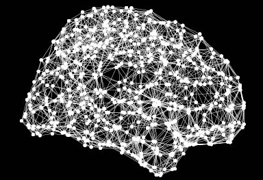 brain networks